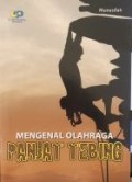 Mengenal Olahraga Panjat Tebing