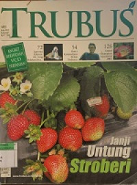 Image of TRUBUS Janji Untung Stroberi